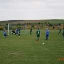 plewis 3